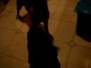 Cachorros Famintos