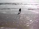 Simon & Sarah on the Beach Simon & Sarah on the Beach