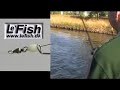 Lefish ON/OFF