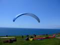 california-torrey_pines-paraglider_landing.MOV
