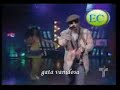 Pasarela - Dalmata - Letra Pasarela - Dalmata - Letra