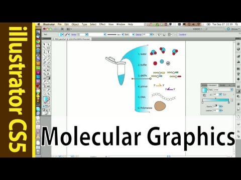 how to draw dna in illustrator