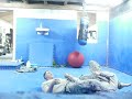 flying arm bar 002.AVI