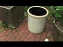 How To Protect Yourself From Mosquitoes