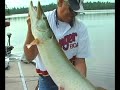Muskie out of Century Lodge