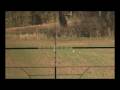Weihrauch HW 100 .177 S 12ftlbs 200m shots