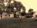 Old Bike Wheelies