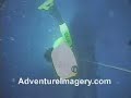 freediving-targi-wiatr-i-woda-pokaz-statyki-i-blackout.html
