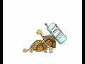 Turtle Turtle