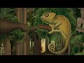 Our Choice: Deforestation - Vancouver Film School (vfs)