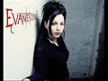 evanescence imagenary