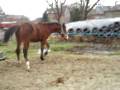 PB280021.MOV