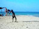 man doing backflips