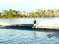 2007 Muray Series