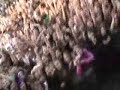 Video Blog #12