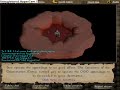 runescape dming 66 range vs 80 range