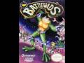 battletoad NES theme