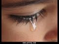 تامر حسنى انا خنتك امبارح by merorega