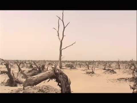 Xinjiang/East Turkestan/KUCHA