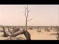 Xinjiang/East Turkestan/KUCHA