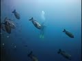 Bunaken, Manado