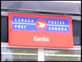 NL - Gambo