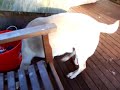 Playing with Mum and Dad