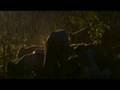Lions feed in the rain 