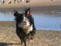 laycha en yenda op scheveningen