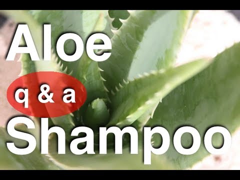 how to make a aloe vera oil