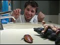 Working Overtime (Cast Away spoof) Working Overtime (Cast Away spoof)