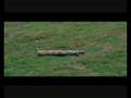 Hitchhiker's Guide To The Galaxy - Oh No ! It Locked From Th