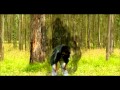 Expulso Trailer 2