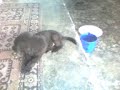 turbo che corre