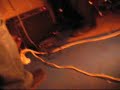 Musicisti Senza Nome - Terremoto (Litfiba) - corato