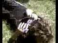 you spilt the bb\ you spilt the bb\