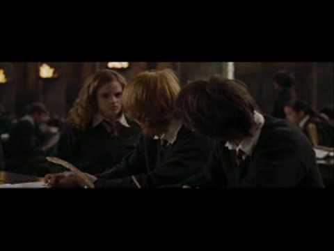 She Wants Me (Harry/Hermione/Ron)