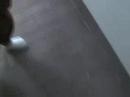 And yet some more clips.