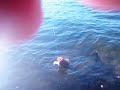 	      
     Float fishing 9/4/10