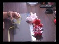 Make A Surrounding Loop For Your Hair Bow by www.hair-hardware.com