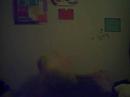 Me, Jahaira && Jasmin PillOw fiqhtinq HaHa!!!
