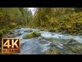 BEAUTIFUL NATURE VIDEO IN 4K (ULTRA HD) - AUTUMN RIVER SOUND ..