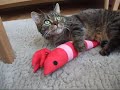 えびーた.wmv