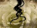 videos de Ghost of a rose - Blackmore's Night