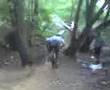 videos de bum crash