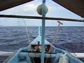 Seasickness inspection Seasickness inspection