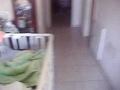 PB270004.MOV