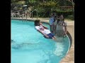 summer fun ng lemnahis rondalla