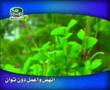 cennet ku�lar� nasheed ilahi  Bismilrahmani arabic children