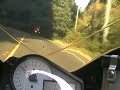 fast crash into deer